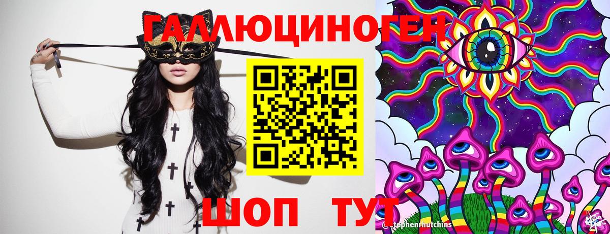 Галлюциногенные грибы Psilocybe  купить наркотик  Вход с VPN  Кохма  Галлюциногенные грибы прущие грибы 